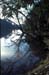 ©Guatem.Hochland See_mangrowen