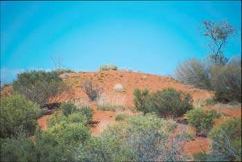 Australien Alice Springs(16)